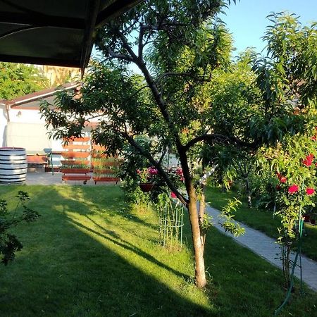 Casa Ienciu Appartement Sibiu Buitenkant foto